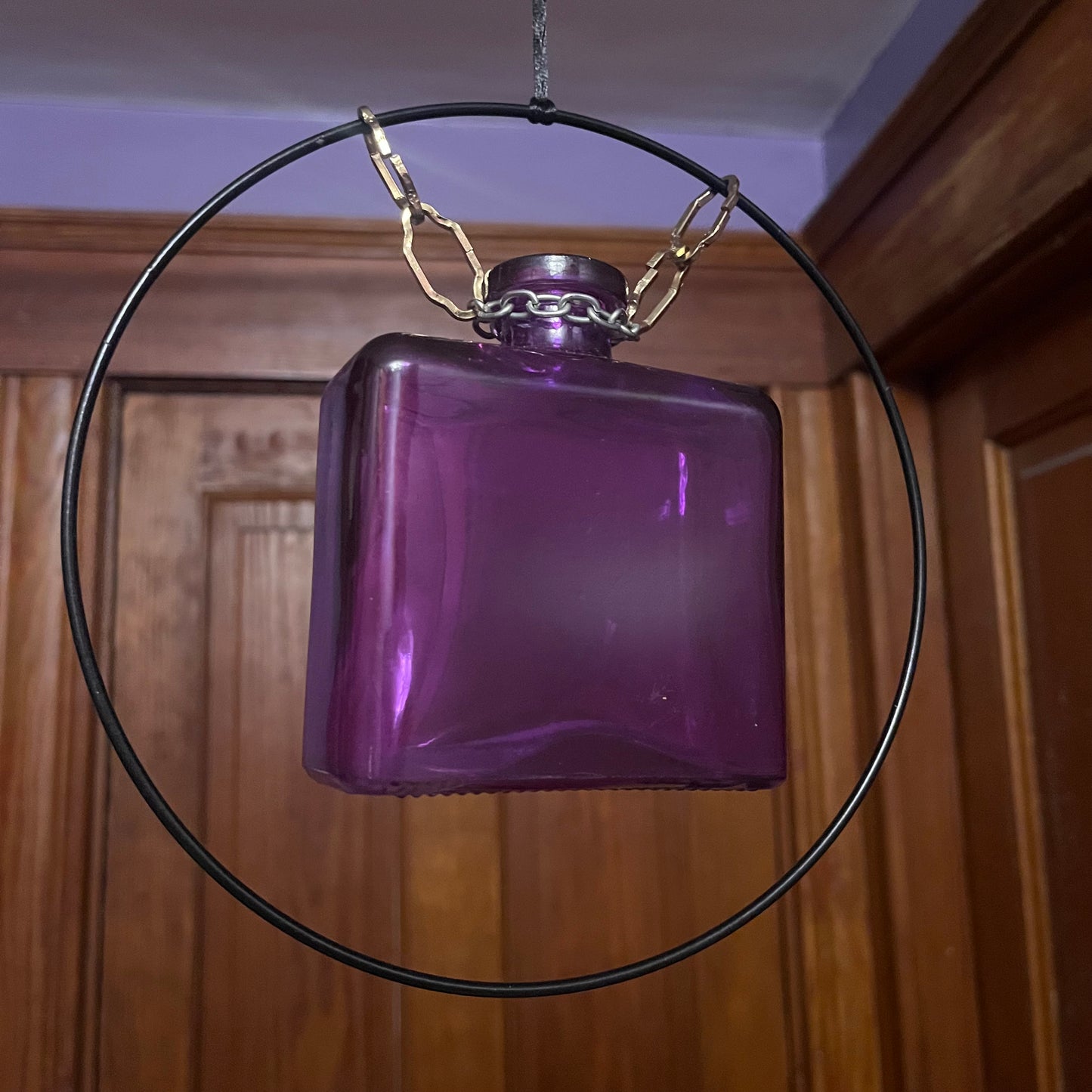 Square purple vase propagation station