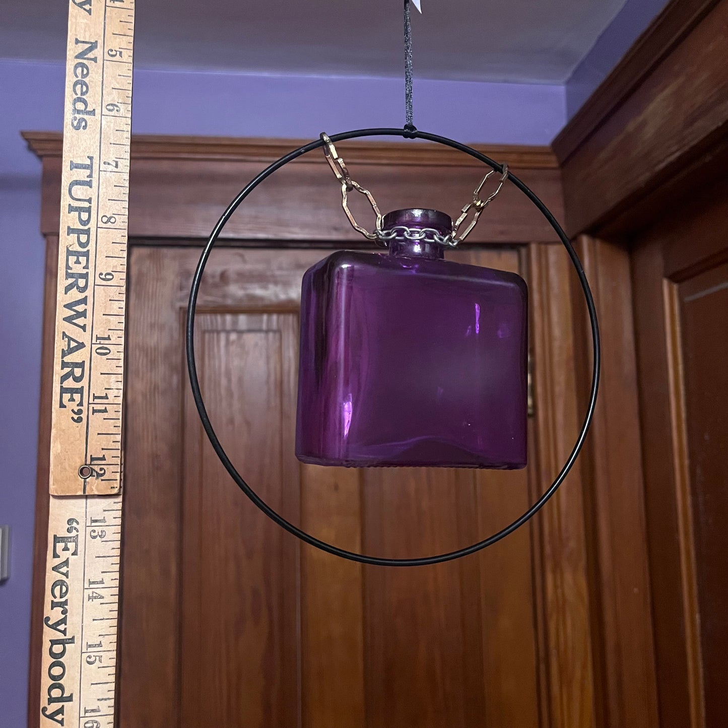 Square purple vase propagation station