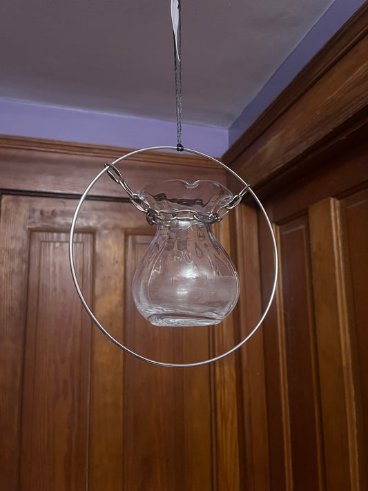 Clear scalloped vase propagation station