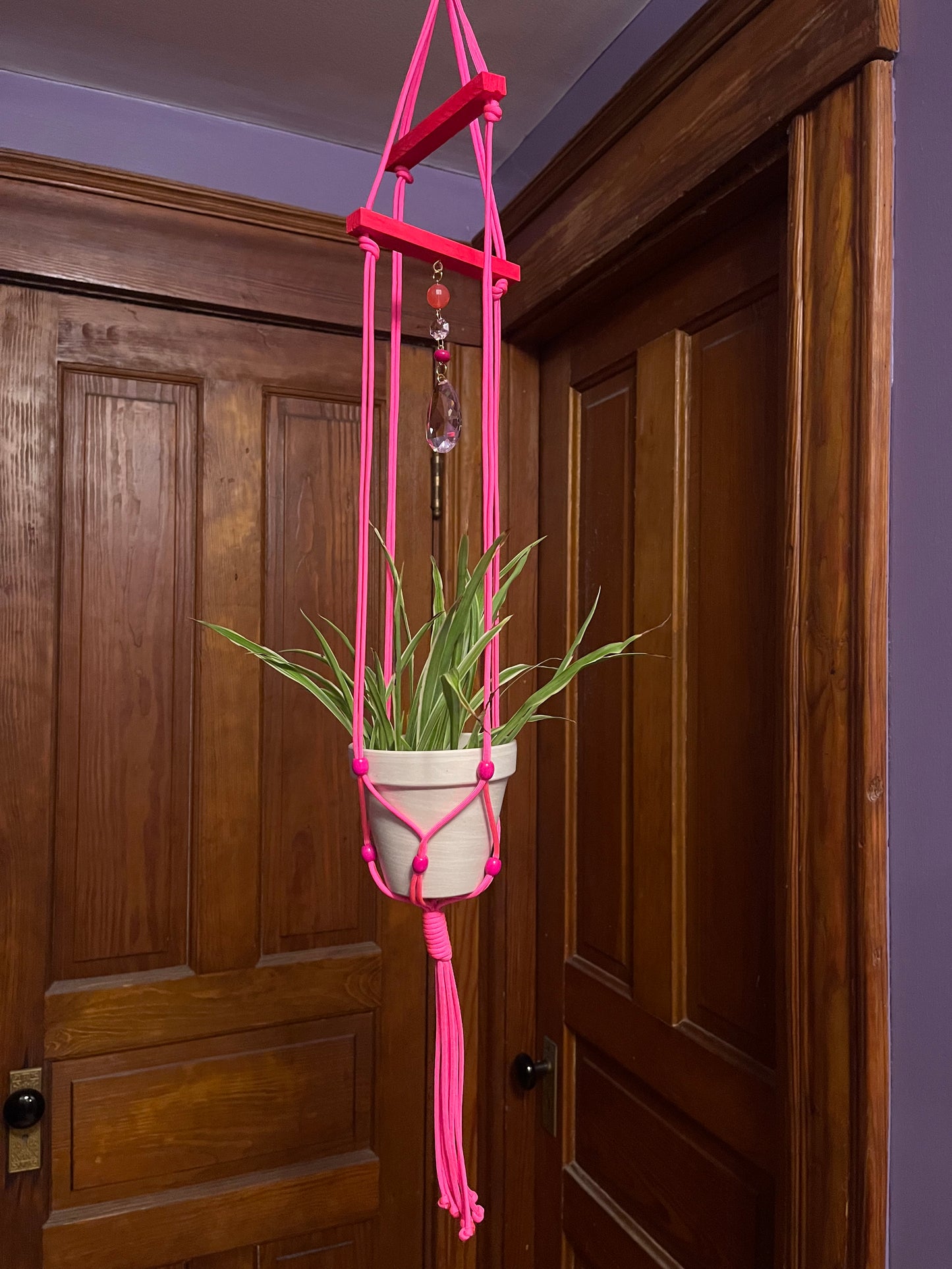 Pink suncatching plant hanger